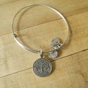 Alex and Ani bracelet
